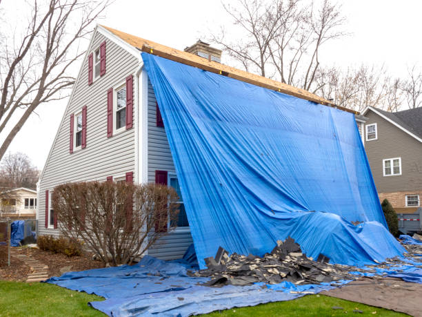 Shed Removal